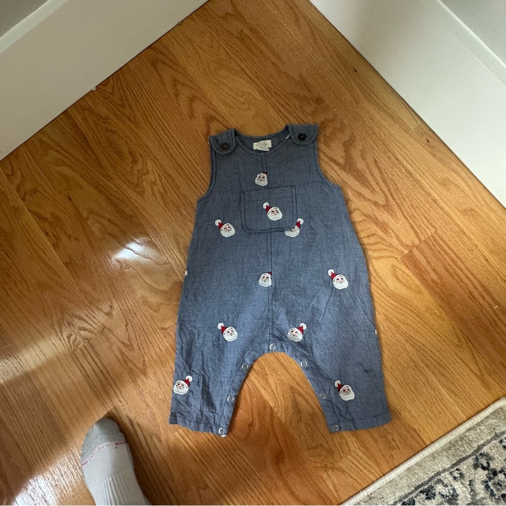 Pink Chicken Blue Distressed Overalls
